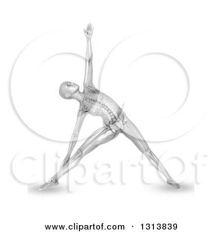 Clipart of a 3d Grayscale Anatomical Woman Stretching in a Yoga Pose, with Visible Skeleton, on White - Royalty Free Illustration by KJ Pargeter