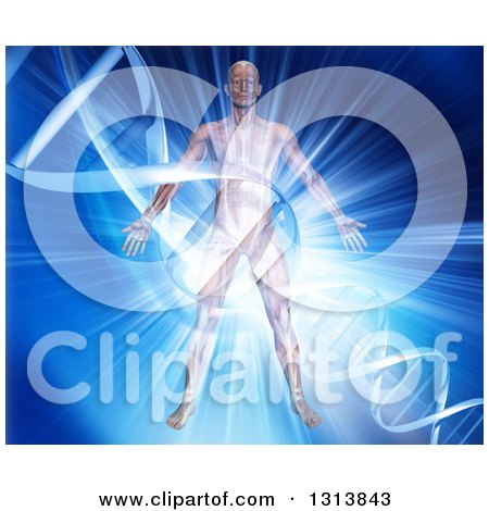 Clipart of a 3d Medical Anatomical Male with Visible Muscles, over a Blue Burst and DNA Strand - Royalty Free Illustration by KJ Pargeter