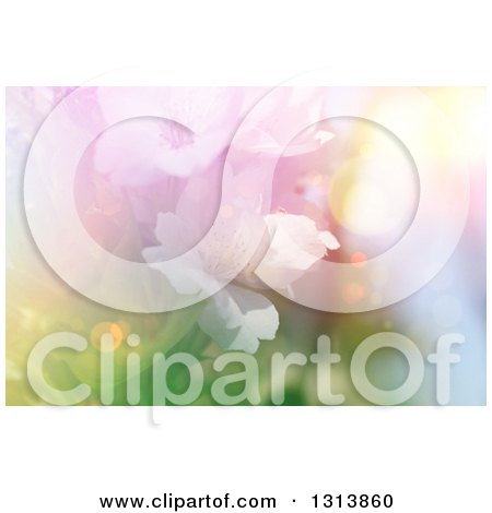 Clipart of a Background of Blossoms and Flares - Royalty Free Illustration by KJ Pargeter