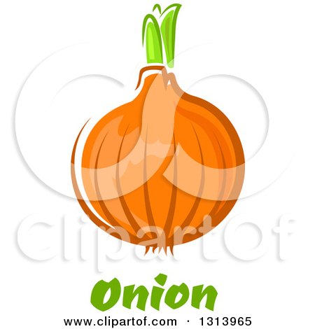 Clipart of a Cartoon Yellow Onion over Green Text - Royalty Free Vector Illustration by Vector Tradition SM