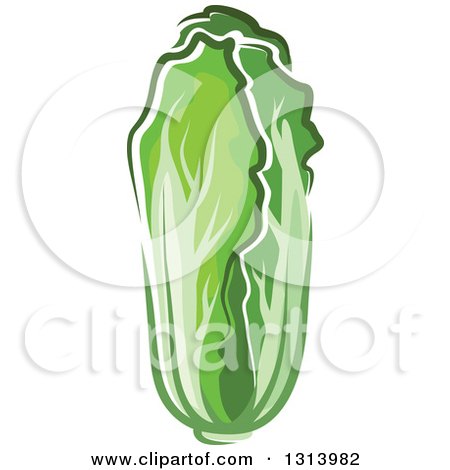 Clipart of a Cartoon Head of Chinese Cabbage or Romaine Lettuce - Royalty Free Vector Illustration by Vector Tradition SM