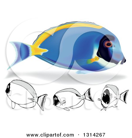 Clipart of 3d and Cartoon Powder Blue Tang Marine Fish - Royalty Free Vector Illustration by dero