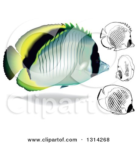 Clipart of 3d and Cartoon Lined Butterflyfish Marine Fish - Royalty Free Vector Illustration by dero