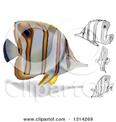 Clipart of 3d and Cartoon Copperband Butterflyfish Marine Fish - Royalty Free Vector Illustration by dero