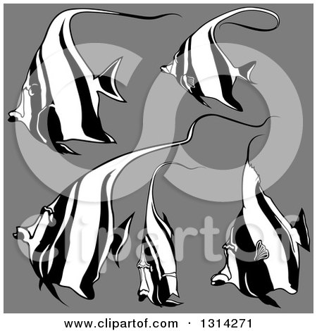 Clipart of Cartoon Black and White Moorish Idol Marine Fish on Gray - Royalty Free Vector Illustration by dero