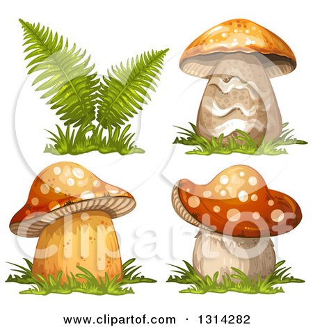 Clipart of Mushrooms and Ferns with Grass - Royalty Free Vector Illustration by merlinul