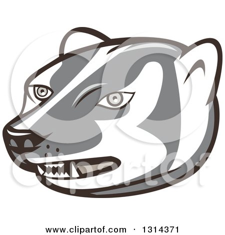 Clipart of a Cartoon Honey Badger Mascot Head - Royalty Free Vector Illustration by patrimonio