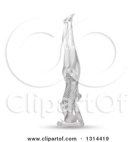 Clipart of a 3d Anatomical Woman in a Head Stand Yoga Pose, with Visible Skeleton, on White - Royalty Free Illustration by KJ Pargeter