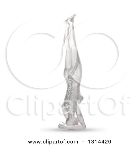 Clipart of a 3d Anatomical Woman in a Head Stand Yoga Pose, with Visible Spine and Skeleton, on White - Royalty Free Illustration by KJ Pargeter