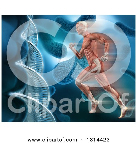 Clipart of a 3d Medical Anatomical Man with Visible Muscles, Running over a Blue Virus and Dna Background - Royalty Free Illustration by KJ Pargeter