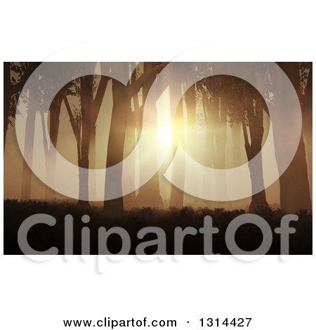 Clipart of 3d Orange Sunset Sunlight Breaking Through Trees and Fog in the Woods - Royalty Free Illustration by KJ Pargeter