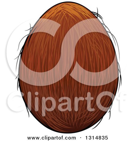 Clipart of a Cartoon Coconut - Royalty Free Vector Illustration by Vector Tradition SM