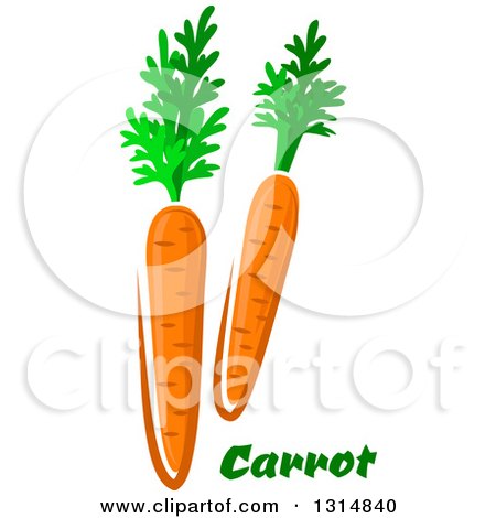 Clipart of Cartoon Carrots over Text - Royalty Free Vector Illustration by Vector Tradition SM