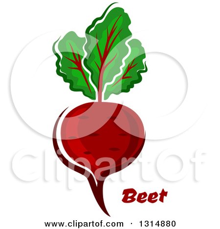Clipart of a Cartoon Beet with Text - Royalty Free Vector Illustration by Vector Tradition SM