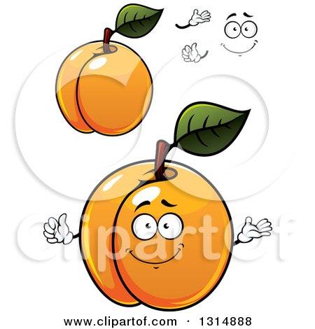 Clipart of a Cartoon Face, Hands and Shiny Apricots - Royalty Free Vector Illustration by Vector Tradition SM