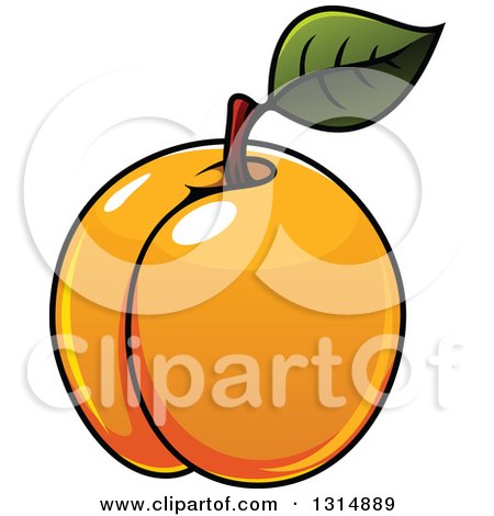 Clipart of a Cartoon Shiny Apricot - Royalty Free Vector Illustration by Vector Tradition SM