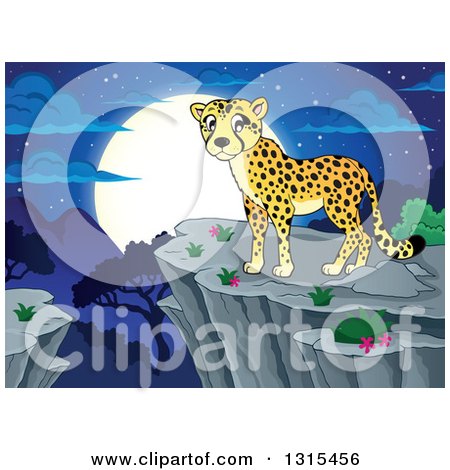 Clipart of a Cartoon Cheetah on a Cliff over a Valley and a Full Moon at Night - Royalty Free Vector Illustration by visekart