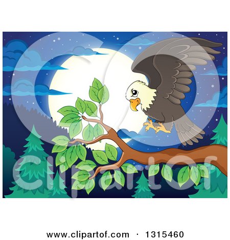 Clipart of a Cartoon Bald Eagle Landing on a Branch Against a Forest and Full Moon at Night - Royalty Free Vector Illustration by visekart