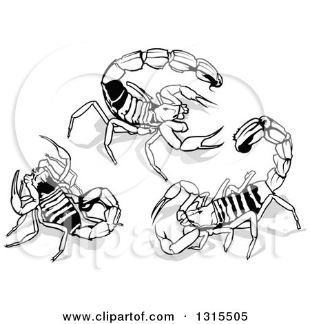 Clipart of Desert Scorpions and Shadows - Royalty Free Vector Illustration by dero