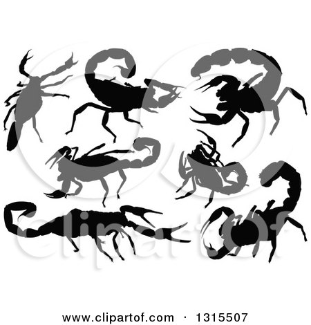 Clipart of Black Silhouetted Scorpions - Royalty Free Vector Illustration by dero