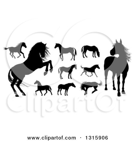 Clipart of Black Silhouetted Horses - Royalty Free Vector Illustration by AtStockIllustration
