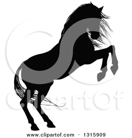 Clipart of a Black Silhouetted Horse Rearing - Royalty Free Vector Illustration by AtStockIllustration