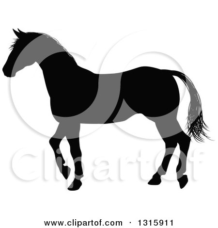 Clipart of a Black Silhouetted Horse Walking - Royalty Free Vector Illustration by AtStockIllustration