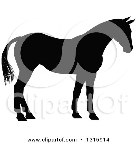 Clipart of a Black Silhouetted Horse Facing Right - Royalty Free Vector Illustration by AtStockIllustration