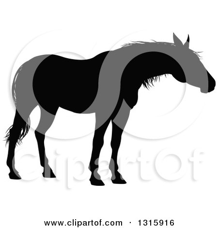 Clipart of a Black Silhouetted Horse 2 - Royalty Free Vector Illustration by AtStockIllustration