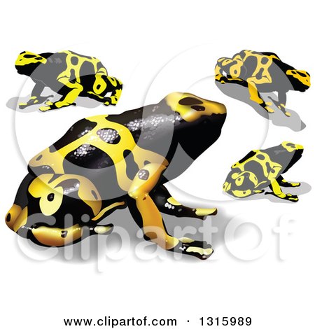 Clipart of 3d Yellow and Black Poison Dart Frogs with Shadows - Royalty Free Vector Illustration by dero