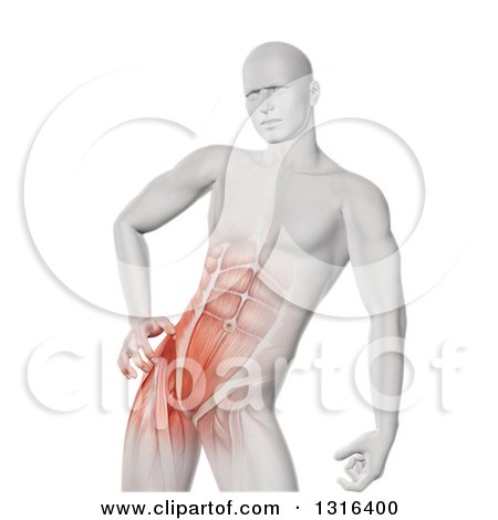Clipart of a 3d White Anatomical Man with Visible Abdominal and Hip Muscles, on White - Royalty Free Illustration by KJ Pargeter
