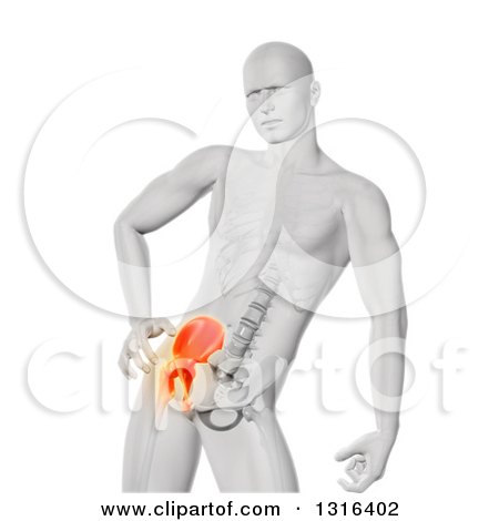 Clipart of a 3d White Anatomical Man with Visible Skeleton and Glowing Hip Pain, on White - Royalty Free Illustration by KJ Pargeter