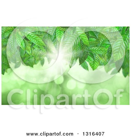 Clipart of a Background of Green Vines, Bright Light and Flares - Royalty Free Illustration by KJ Pargeter