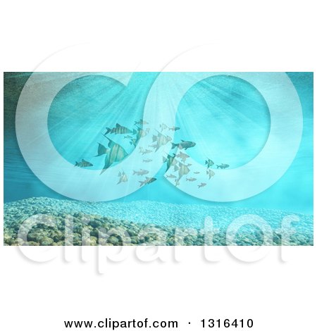 Clipart of a 3d Underwater Scene with Schooling Tropical Fish and Pebbles - Royalty Free Illustration by KJ Pargeter