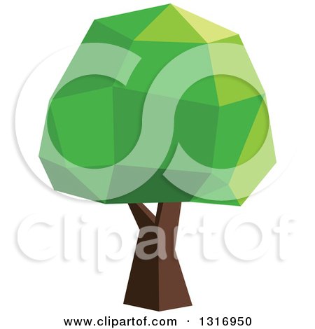 Clipart of a Low Poly Geometric Mature Tree - Royalty Free Vector Illustration by Vector Tradition SM