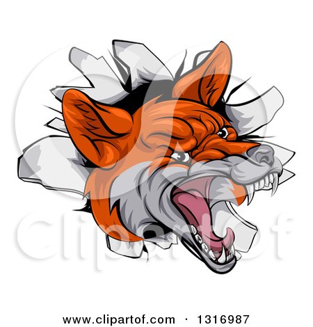 Clipart of a Vicious Fox Breaking Through a Wall - Royalty Free Vector Illustration by AtStockIllustration