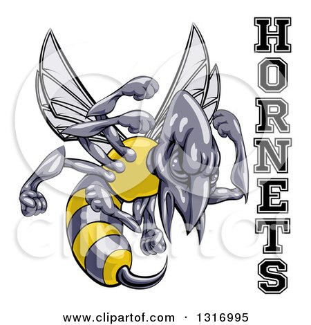 Clipart of a Tough Hornet Sports Team Mascot Holding up Fists by Text - Royalty Free Vector Illustration by AtStockIllustration