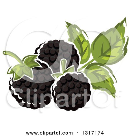 Clipart of Cartoon Blackberries and Leaves - Royalty Free Vector Illustration by Vector Tradition SM