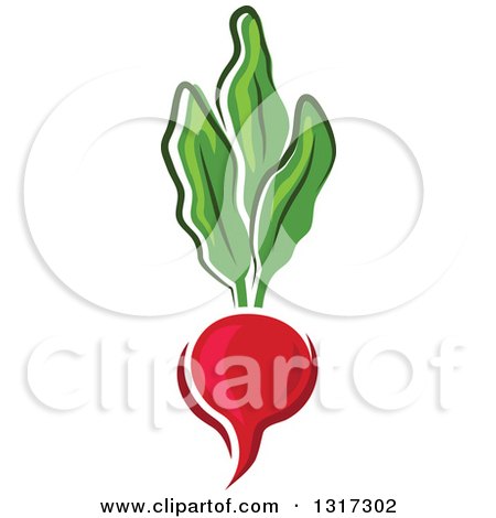 Clipart of a Cartoon Radish and Greens - Royalty Free Vector Illustration by Vector Tradition SM