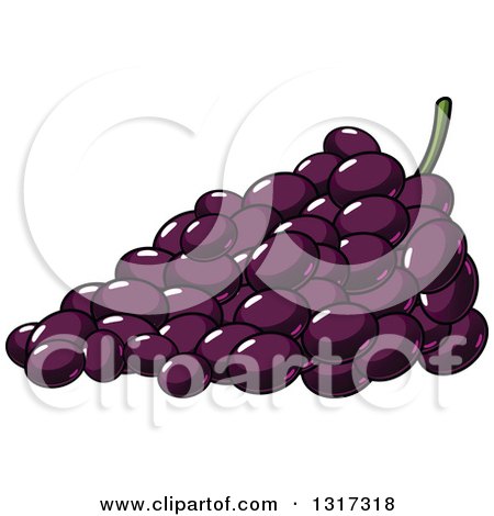 Clipart of a Cartoon Bunch of Purple Grapes - Royalty Free Vector Illustration by Vector Tradition SM