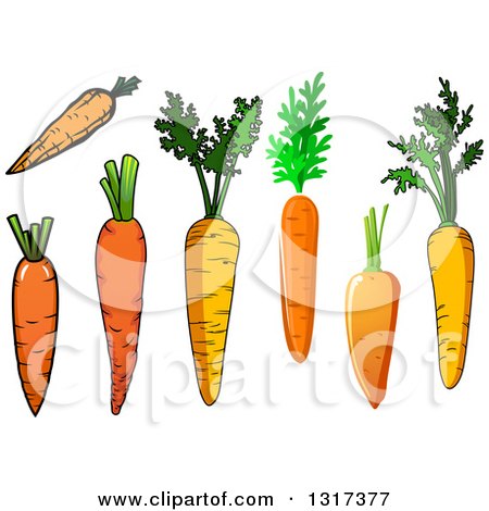 Clipart of Cartoon Carrots - Royalty Free Vector Illustration by Vector Tradition SM