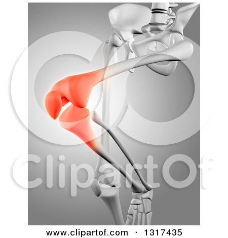 Clipart of a 3d Human Skeleton with Highlighted Knee Pain, on Gray - Royalty Free Illustration by KJ Pargeter