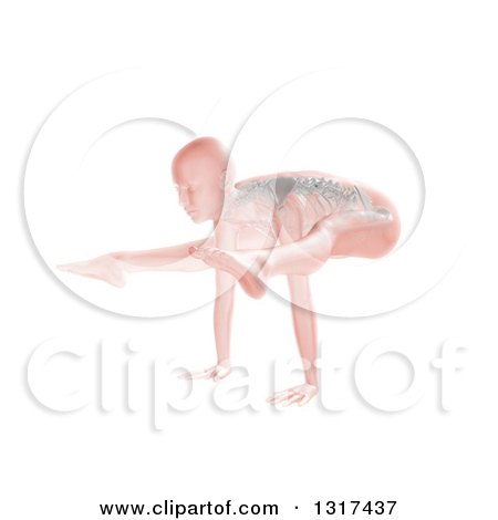 Clipart of a 3d Anatomical Woman in a Yoga Pose, with Visible Skeleton, on White - Royalty Free Illustration by KJ Pargeter