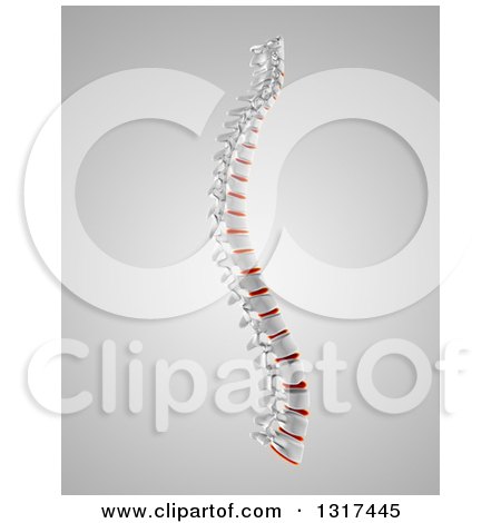 Clipart of a 3d Full Human Spine with Red Discs Highlighted over Gray - Royalty Free Illustration by KJ Pargeter