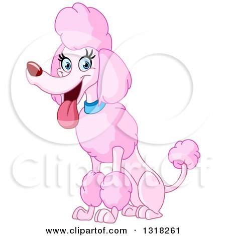Clipart of a Cartoon Happy Pink Standard Poodle Panting and Sitting - Royalty Free Vector Illustration by yayayoyo