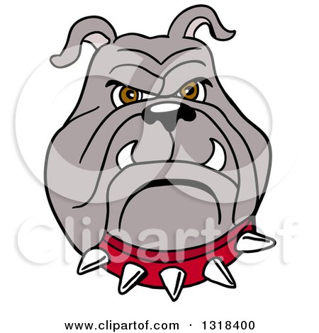 Clipart of a Cartoon Angry Bulldog Face with a Red Spiked Collar - Royalty Free Vector Illustration by LaffToon