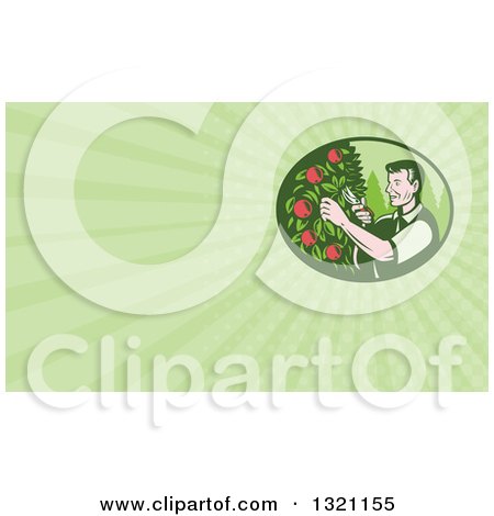 Clipart of a Retro Woodcut Farmer Pruning Apple Trees in an Orchard and Green Rays Background or Business Card Design - Royalty Free Illustration by patrimonio