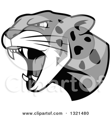 Clipart of a Roaring Grayscale Angry Jaguar or Leopard Big Cat Head - Royalty Free Vector Illustration by Vector Tradition SM
