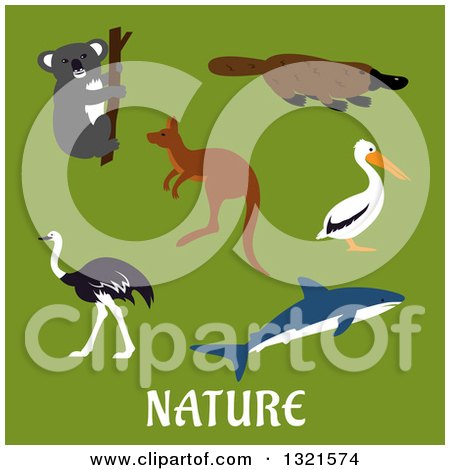 Clipart of a Flat Design Koala, Platypus, Pelican, Shark, Kangaroo and Ostrich over Nature Text on Green - Royalty Free Vector Illustration by Vector Tradition SM