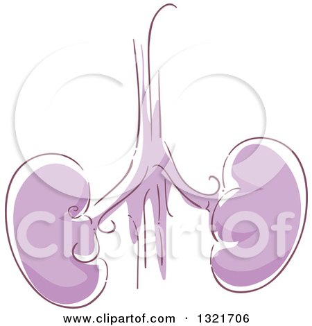 Clipart of Sketched Purple Human Kidneys - Royalty Free Vector Illustration by BNP Design Studio